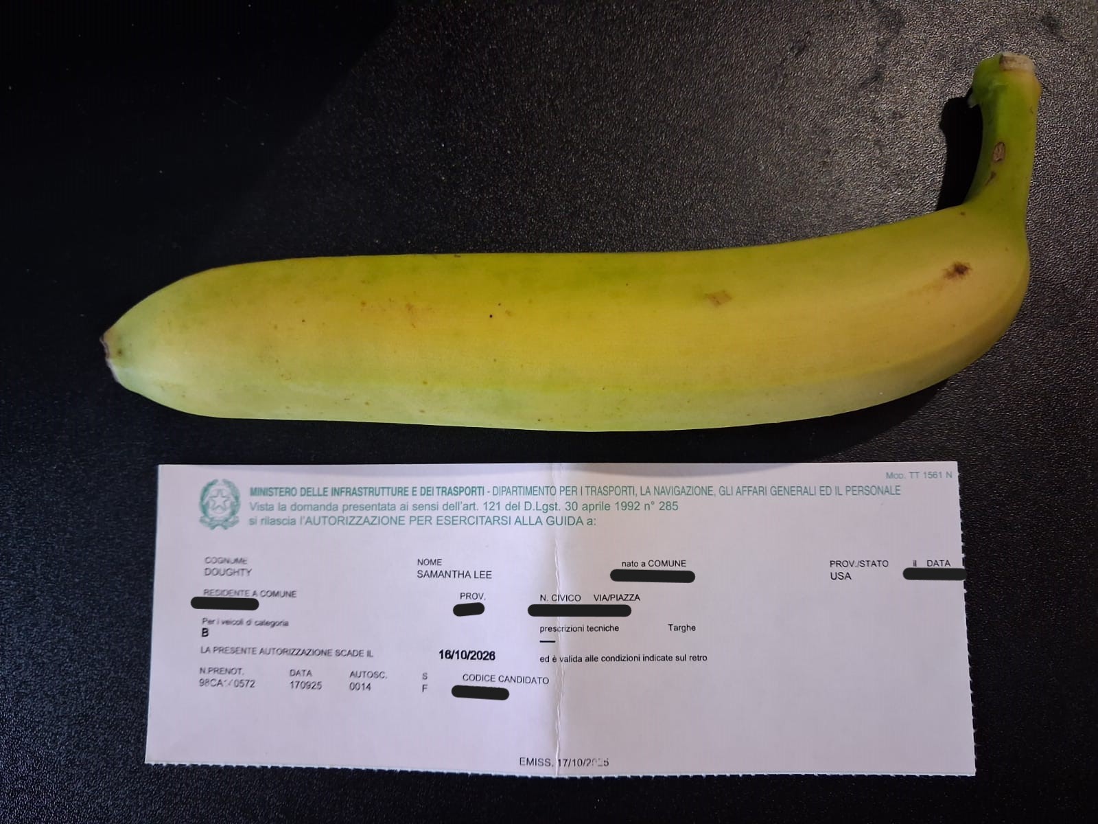 My foglio rosa, banana for scale